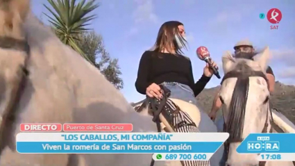 Caballos en Puerto de Santa Cruz