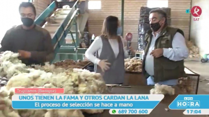 La lana de Trujillanos