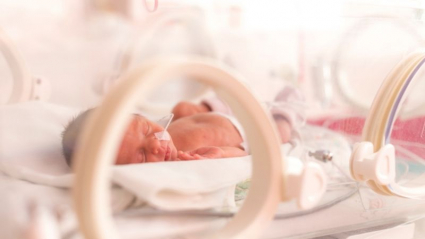 bebé prematuro en la incubadora