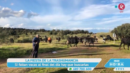 Trashumancia en Extremadura