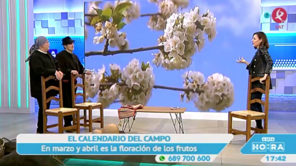 Calendario del campo