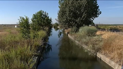 Aparece un hombre ahogado en el canal de Orellana