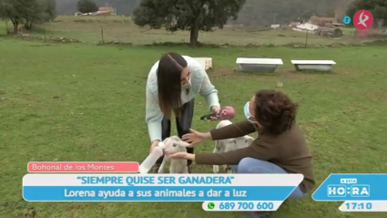 Ganadera en Bohonal de los Montes