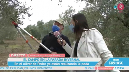 Podando en invierno