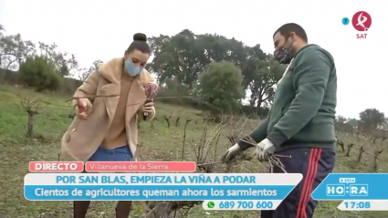 La poda de las viñas en Sierra de Gata