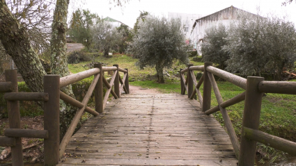 PUENTE LA CODOSERA - MUÉVETE