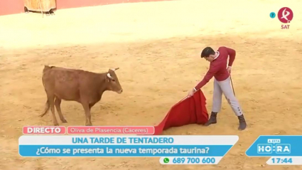 Tentadero en Oliva de Plasencia