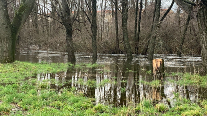 El río Jerte, desbordado a su paso por Plasencia