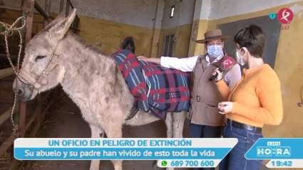 Vendemos la burra