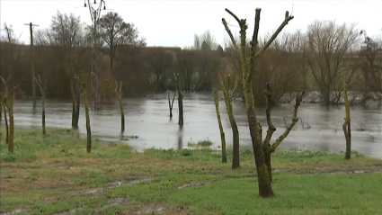 Imagen de un merendero de Galisteo inundado por el desbordamiento del río Jerte