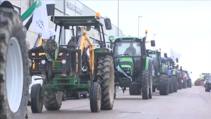 Imagen de la tractorada que ha tenido lugar Miajadas para protestar por los precios del tomate