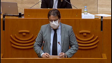 Vergeles comparece en la Asamblea para explicar la situación del covid