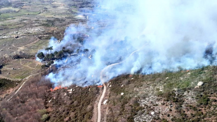 Incendio forestal en Rebollar
