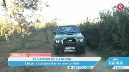 Camino de la muerte en Aceituna