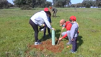 Familia plantando un alcornoque en el Parque Natural de Cornalvo  (Badajoz)