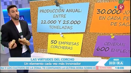 Las cifras del corcho en Extremadura