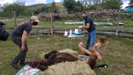 EXTREMADURA A CABALLO