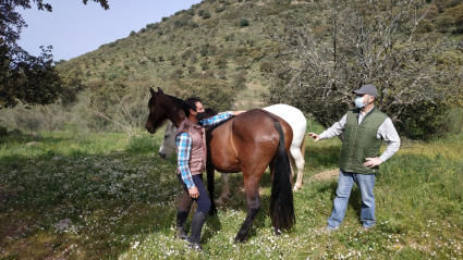 EXTREMADURA A CABALLO