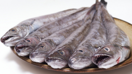 Pescanoex