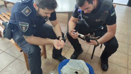 Agentes de la Policía Local de Los Santos de Maimona alimentando a los gatos