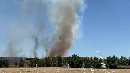 Incendio en la barriada de Las Cuestas de Orinaza.