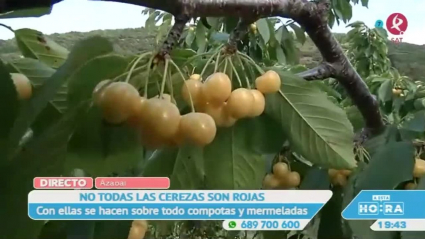 cereza blanca