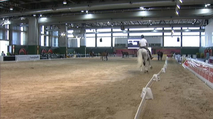 Los primeros caballos ya se exhiben en Ecuextre, en las instalaciones de IFEBA 