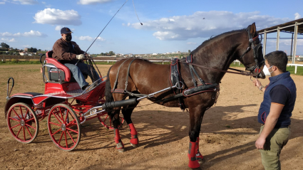 EXTREMADURA A CABALLO