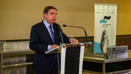 El ministro de Agricultura, Pesca y Alimentación, Luis Planas, durante la clausura del III Encuentro de los Mares, en Marbella (Málaga)