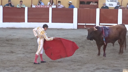 Los Toros de Casta Navarra en Ceret