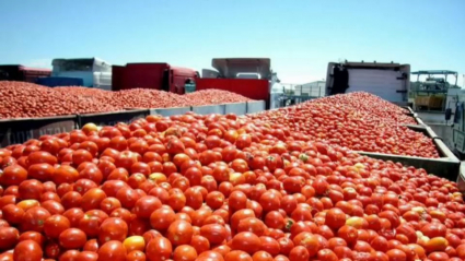 VIDI CAMION TOMATE CAMPAÑA