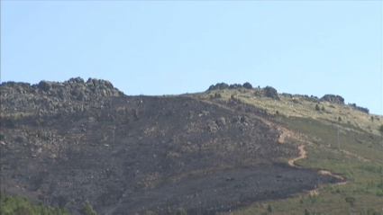 Zona del incendio de Cañaveral