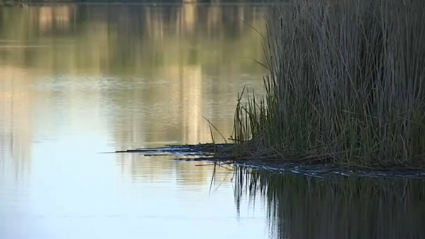 Río Guadiana