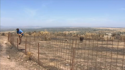 Ganadero de Alburquerque valora las pérdidas sufridas por el incendio forestal