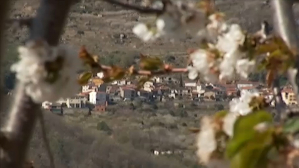 Valle del Jerte (Cáceres)