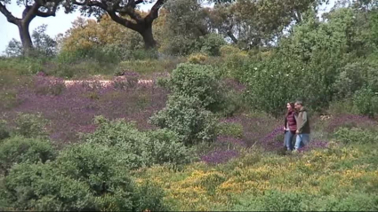 Parque Periurbano de Tres Arroyos