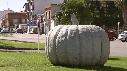 Calabaza en Don Benito