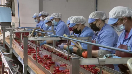 trabajadoras en conservera vegetal de moraleja