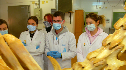 Universidad de Extremadura (Uex) estudiante con discapacidad