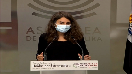 Irene de Miguel, en la rueda de prensa de la Junta de Portavoces