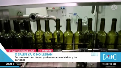 bodega en Tierra de Barros