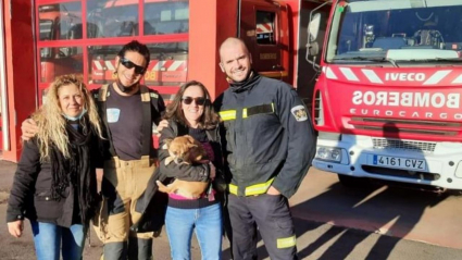 Bomberos