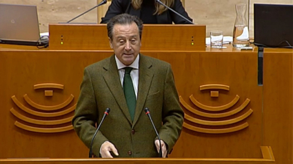 Fernando Baselga, diputado de Ciudadanos proponente de la enmienda sobre las batamantas