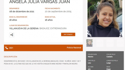 Ficha de la menor desaparecida en la web del Centro Nacional de Desaparecidos.