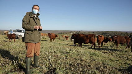 Ganadera con vacas de retinto
