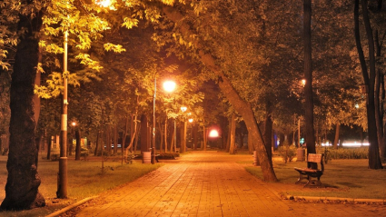calle iluminada de noche