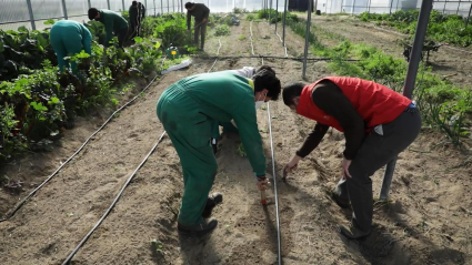 Estudiantes de formación agropecuaria en el Centro de Formación de Don Benito
