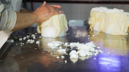Elaboración del queso de vaca 