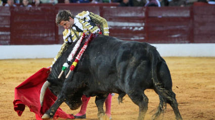 El diestro Julián López "El Juli" da una pase a un toro de la ganadería de Zaluendo, este sábado en la Feria de Olivenza, que celebra su 31 edición tras el parón de los dos años anteriores por la pandemia.