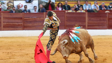 El diestro José M.ª Manzanares en la lidia de su primer toro de la ganadería de Núñez del Cuvillo, hoy domingo en la Feria de Olivenza 2022 en su 31 edición.